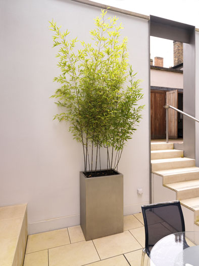 Planter fabricated from shot-peened stainless steel Planter fabricated from shot-peened stainless steel