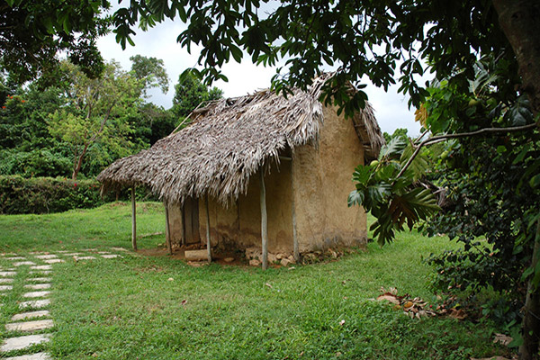 A replica of an early British Cruck house with thatch roof and wattle and daub coating to the